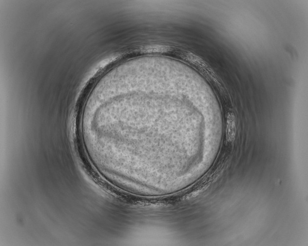 X0000111790726200908201131