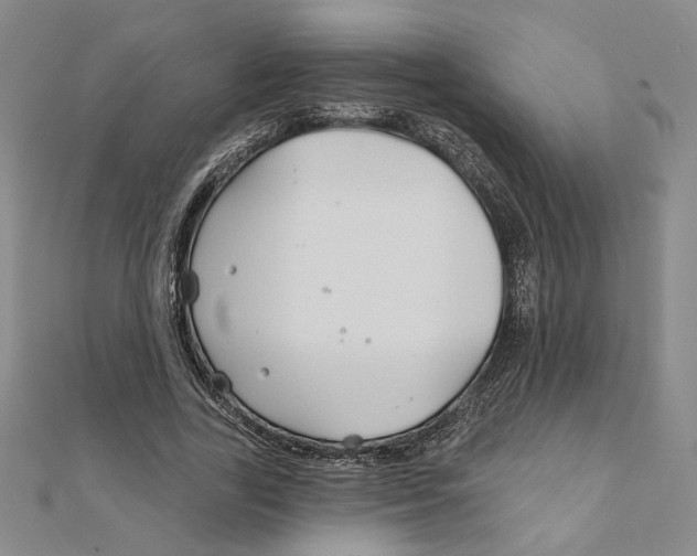 X0000111790731200908201131