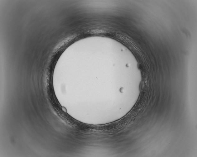 X0000111790732200908201131