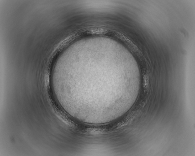 X0000111790733200908201131