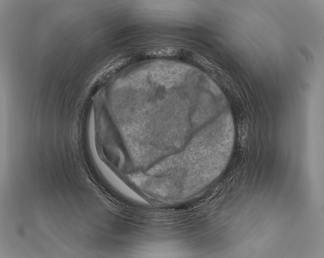 X0000111790735200908201131