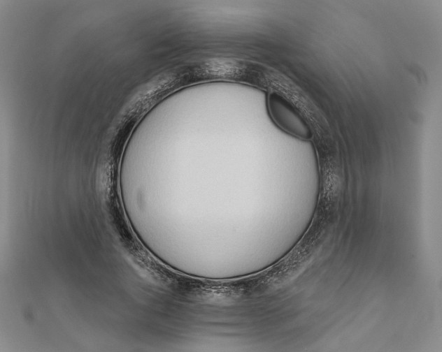 X0000111790736200908201131