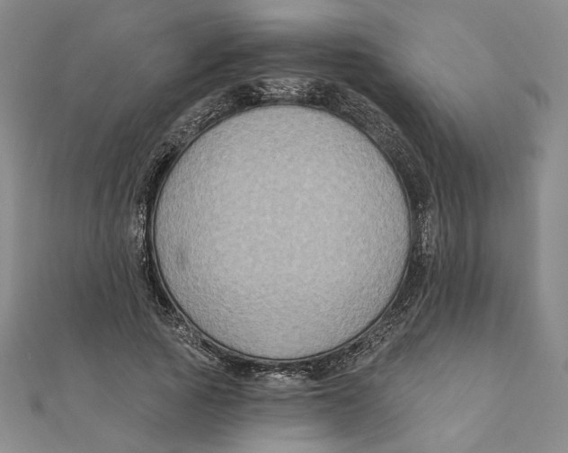 X0000111790737200908201131