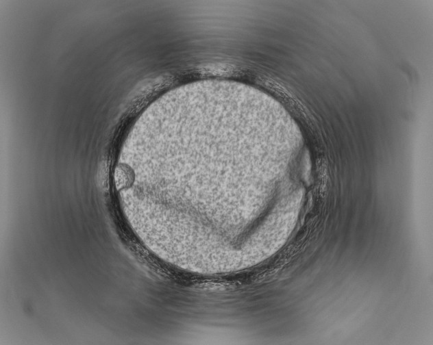 X0000111790738200908201131