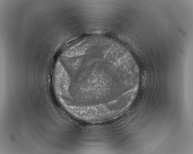 X0000111790739200908201131