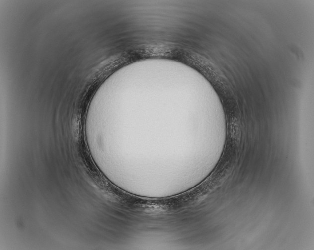 X0000111790741200908201131