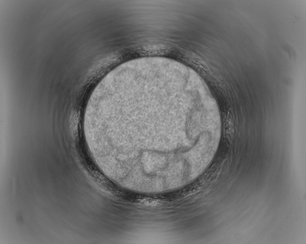 X0000111790742200908201131