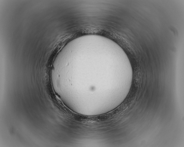 X0000111790743200908201131