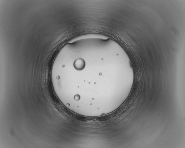 X0000111790744200908201131