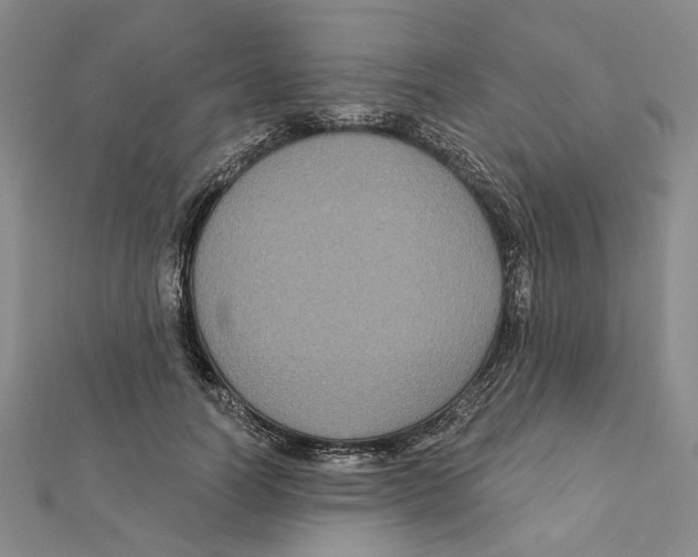 X0000111790746200908201131