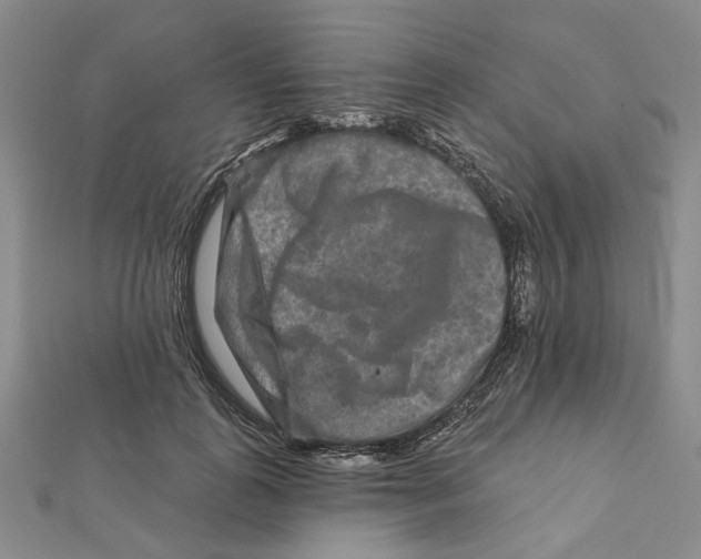 X0000111790747200908201131