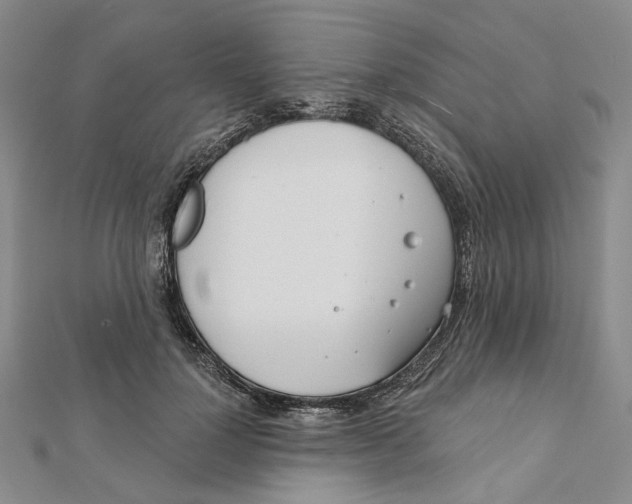 X0000111790748200908201131