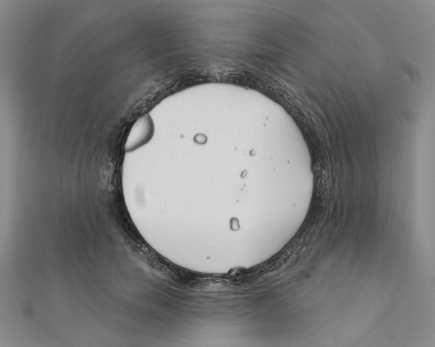 X0000111790750200908201131