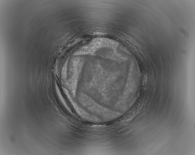 X0000111790751200908201131