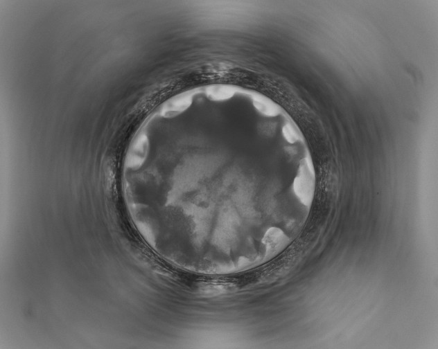 X0000111790754200908201131