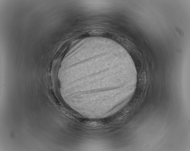 X0000111790755200908201131