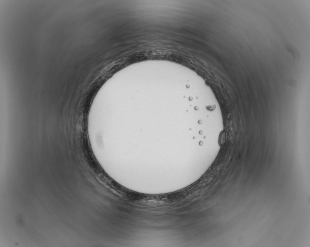 X0000111790756200908201131