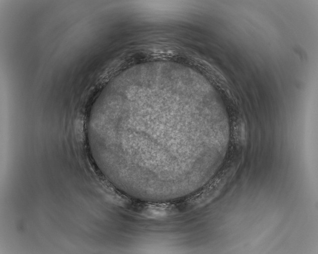 X0000111790757200908201131