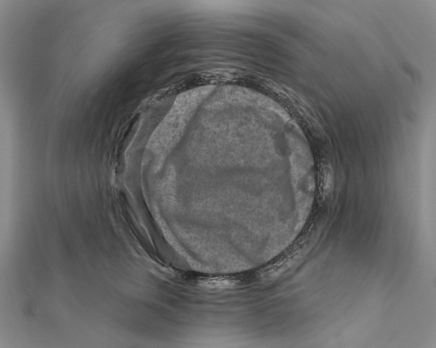 X0000111790759200908201131