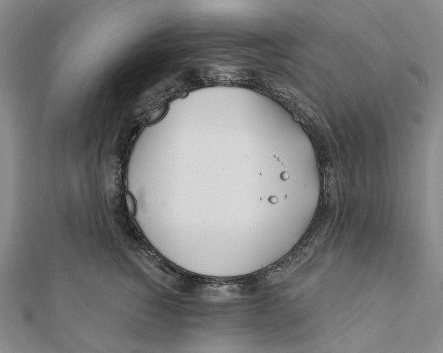 X0000111790760200908201131