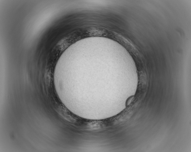 X0000111790761200908201131