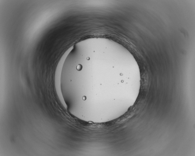 X0000111790762200908201131