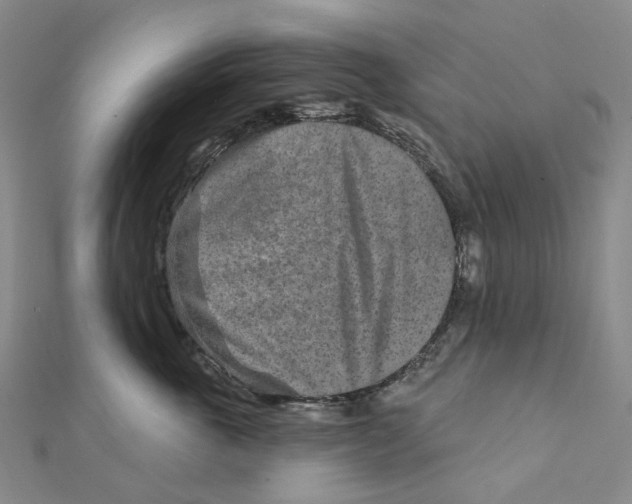 X0000111790763200908201131