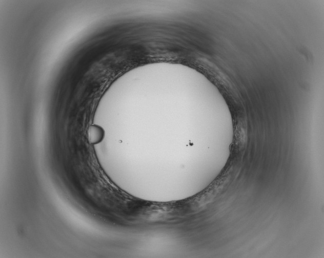 X0000111790764200908201131