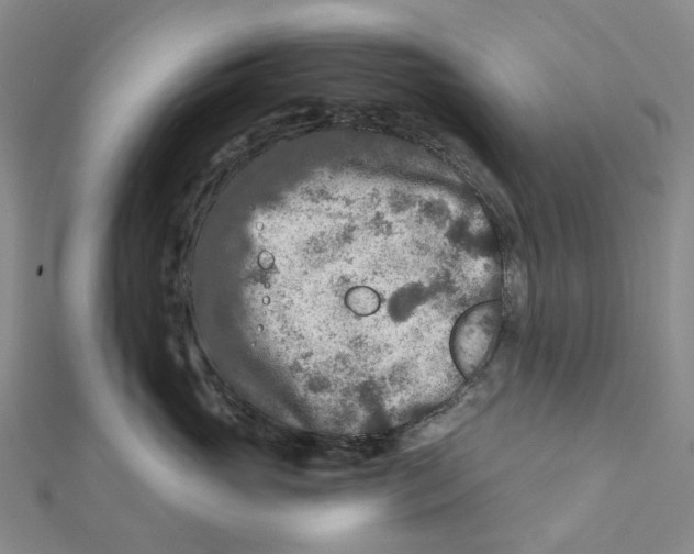 X0000111790765200908201131