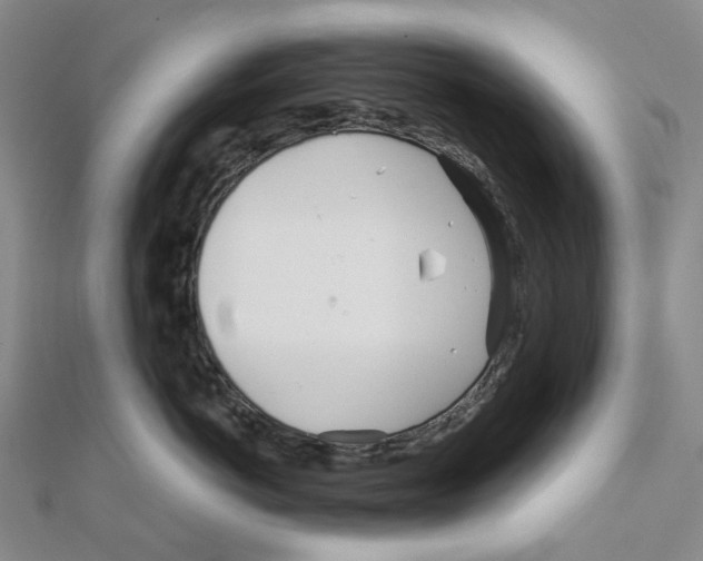 X0000111790766200908201131