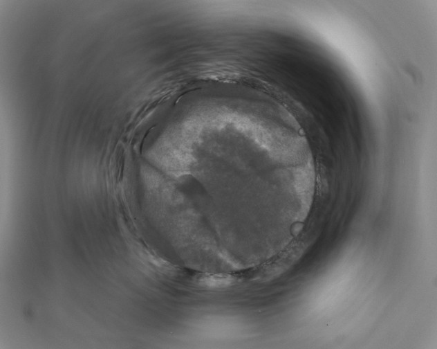 X0000111790767200908201131