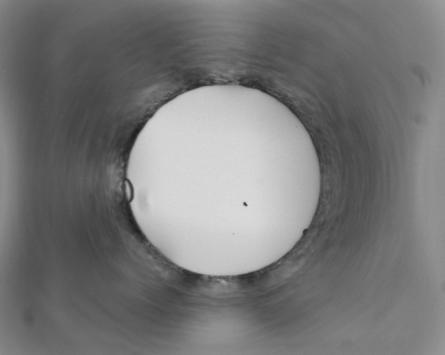 X0000111790768200908201131