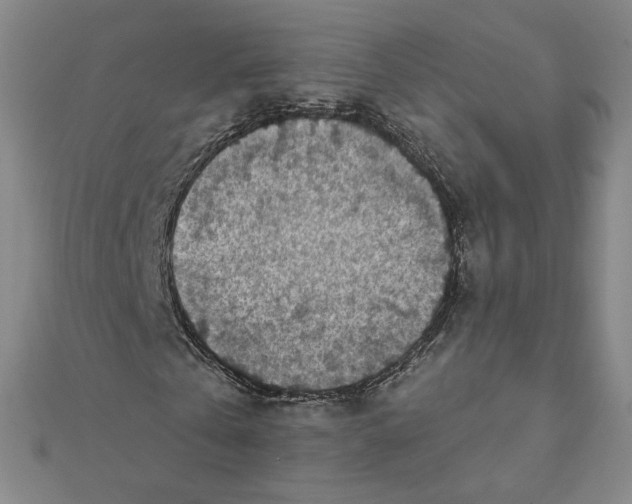 X0000111790769200908201131