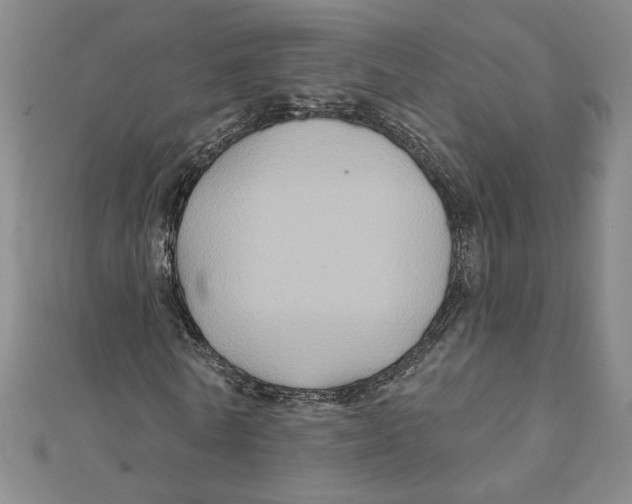 X0000111790770200908201131