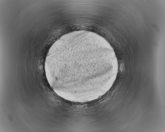 X0000111790771200908201131