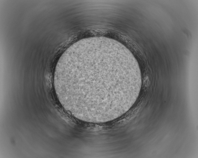 X0000111790772200908201131