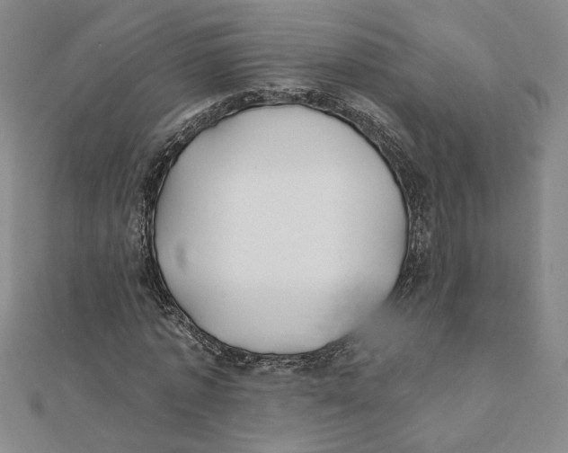 X0000111790773200908201131