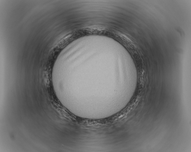 X0000111790774200908201131