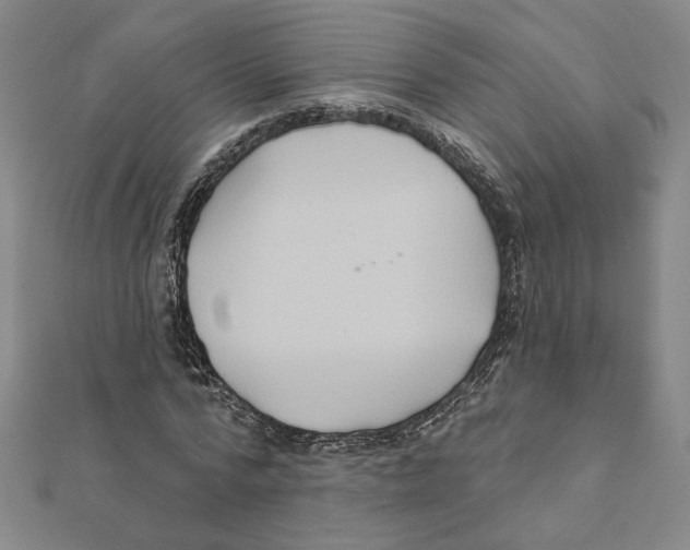 X0000111790776200908201131