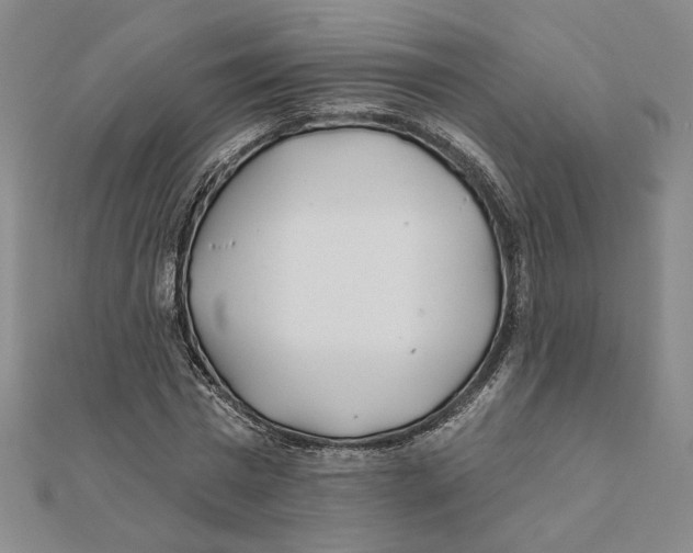 X0000111790777200908201131