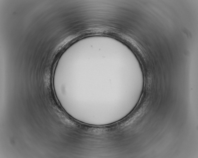 X0000111790778200908201131