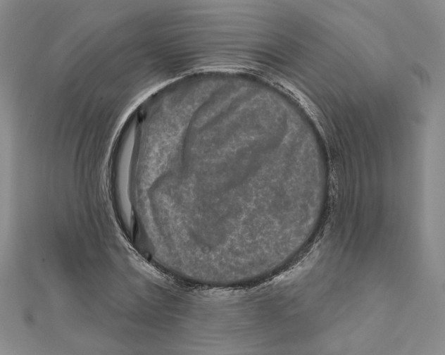 X0000111790779200908201131