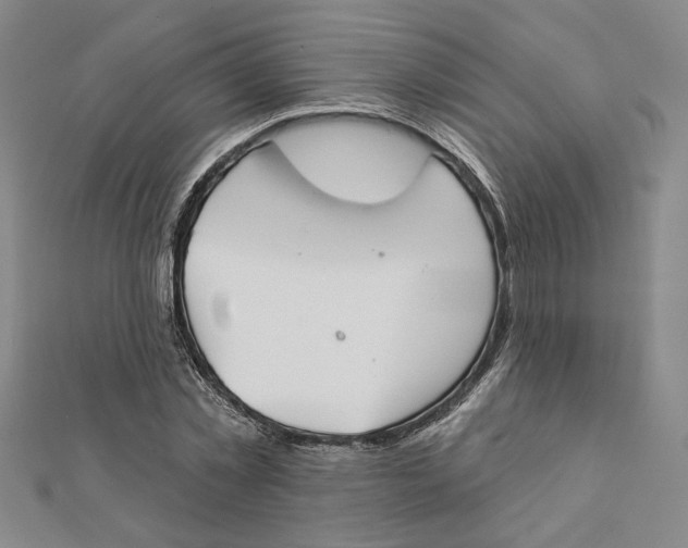 X0000111790781200908201131