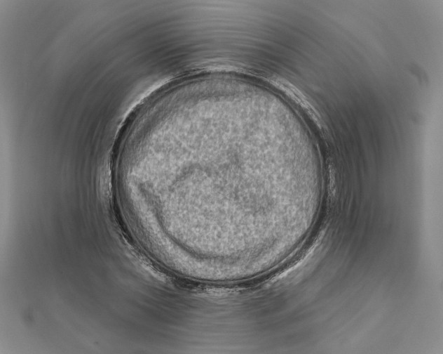 X0000111790782200908201131