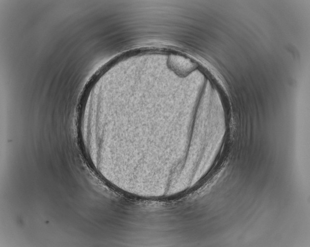 X0000111790783200908201131