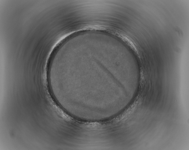 X0000111790784200908201130