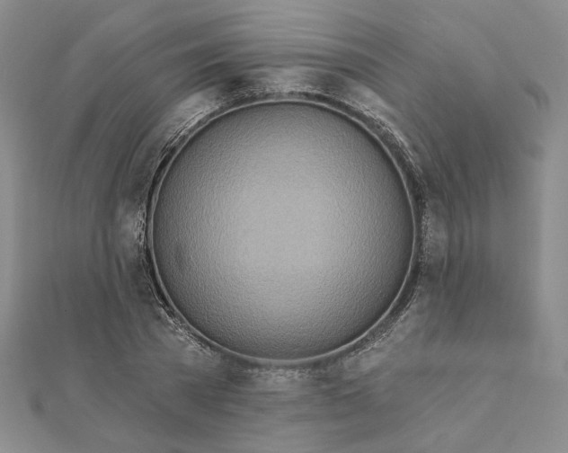 X0000111790785200908201130