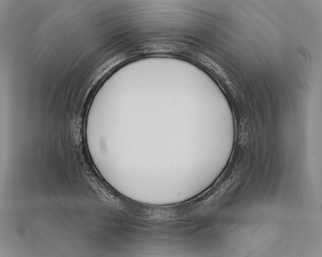 X0000111790786200908201130