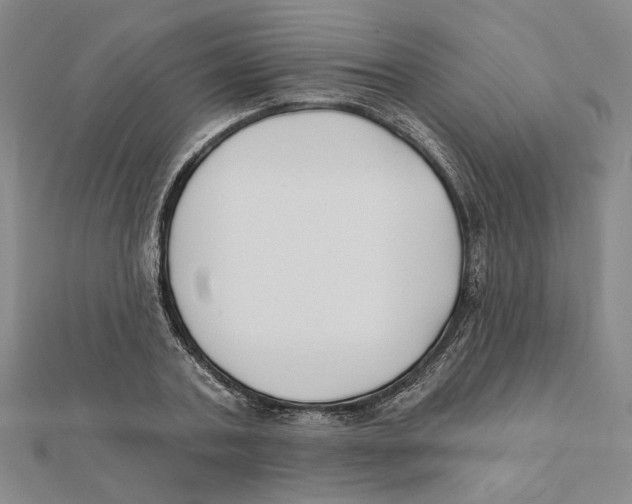 X0000111790787200908201130