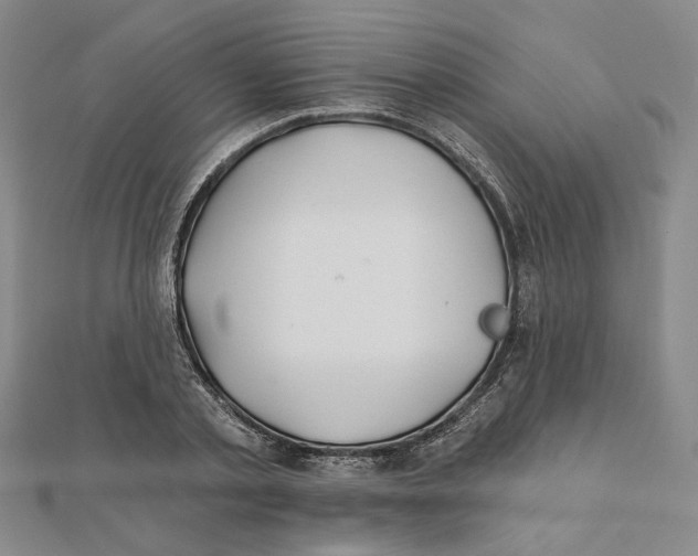 X0000111790789200908201130